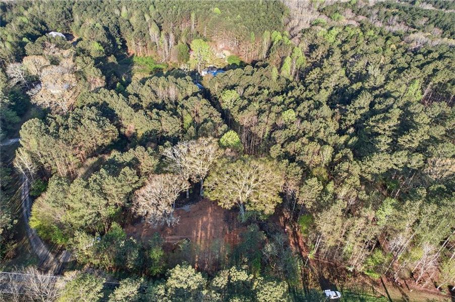 Natural landscape and outdoor views near  in Tallapoosa (Image 43).