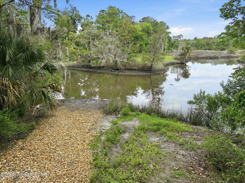 Natural landscape and outdoor views near  in Jacksonville (Image 57).