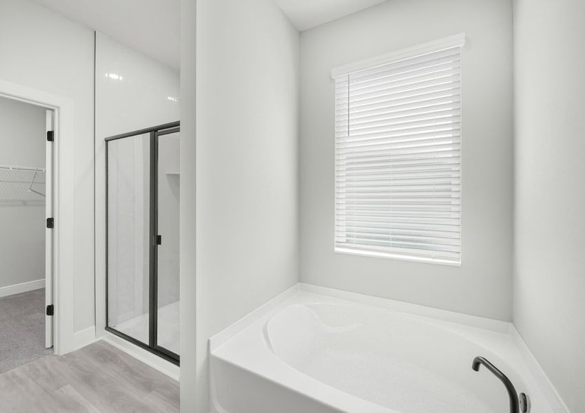 The master bathroom features a spacious walk-in shower and stunning bath tub