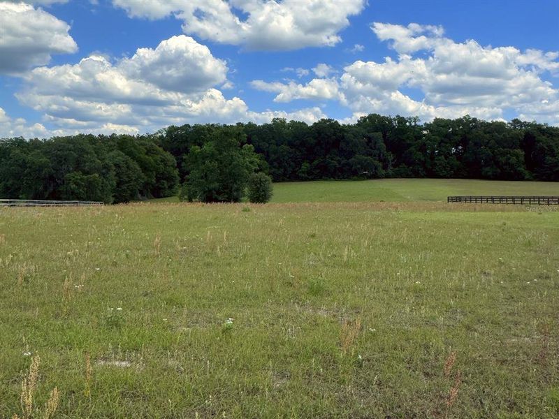 Natural landscape and outdoor views near  in Lake City (Image 42).