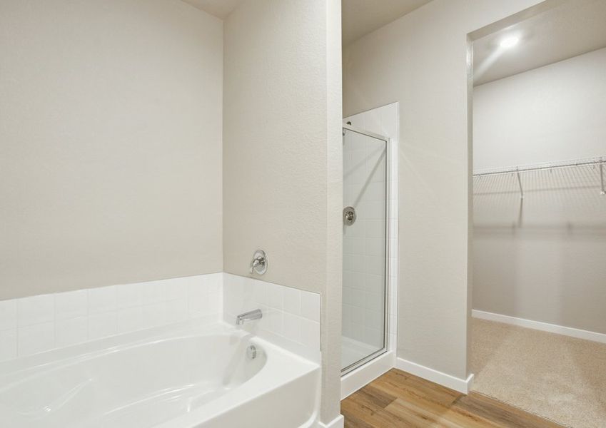 The master bathroom has a large vanity and a step in shower and soaking tub.