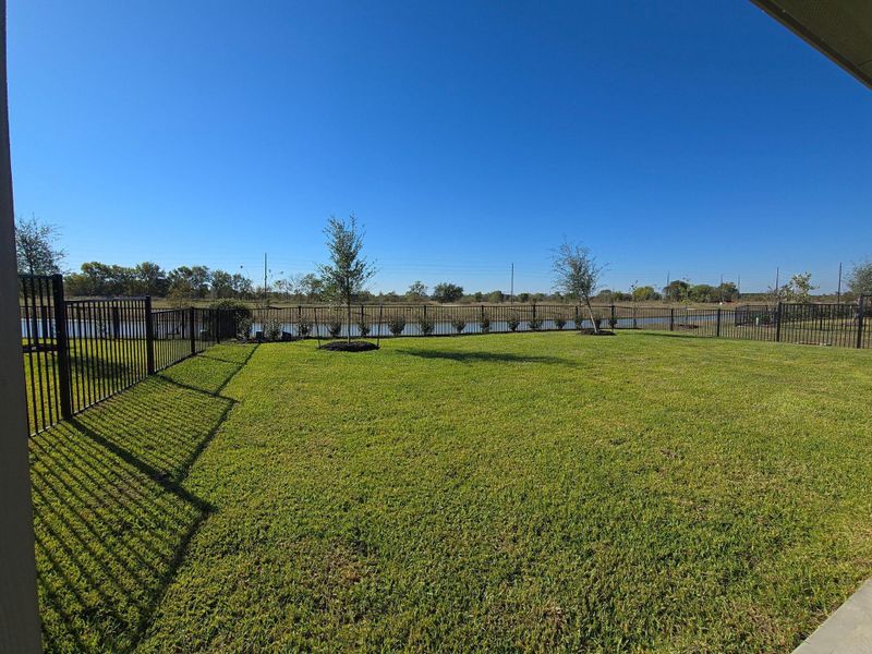 Back Yard over looking the Lake.