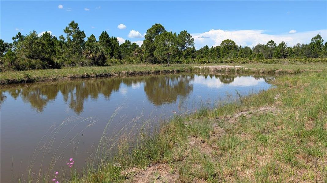 Natural landscape and outdoor views near  in Punta Gorda (Image 36).