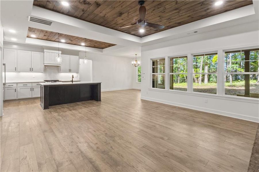 Spacious, unfurnished interior of a new home in , Dahlonega (Image 25).