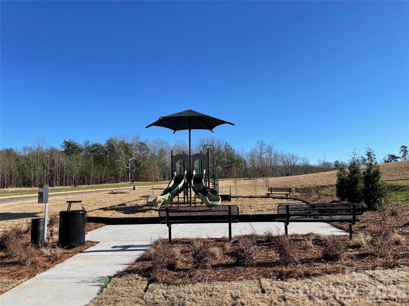 Community amenities in Brinkley Ridge, Kings Mountain (Image 32).