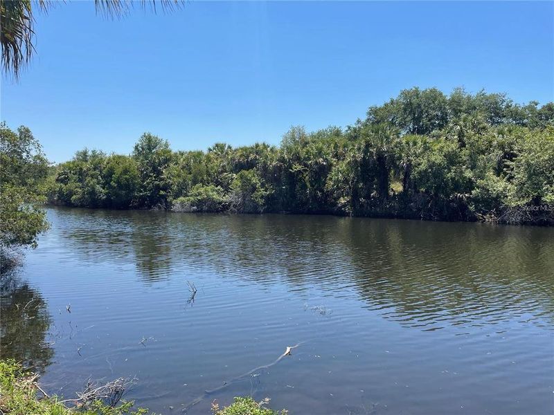 Natural landscape and outdoor views near  in North Port (Image 54).