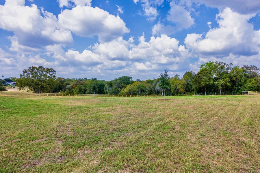 Natural landscape and outdoor views near  in Chappell Hill (Image 44).