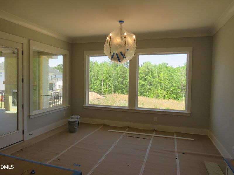 IMG_1040 IMG_1040