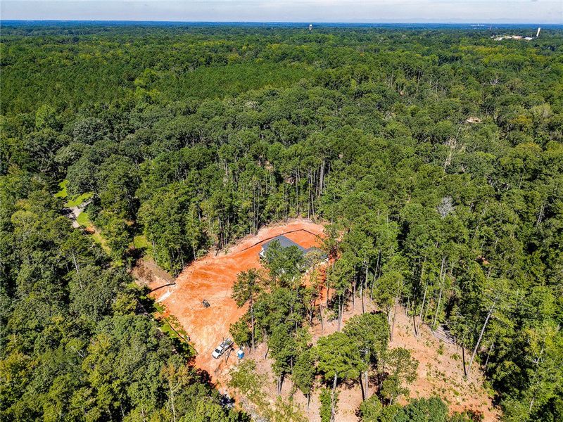 Natural landscape and outdoor views near Anderson County Homes in Belton (Image 26).