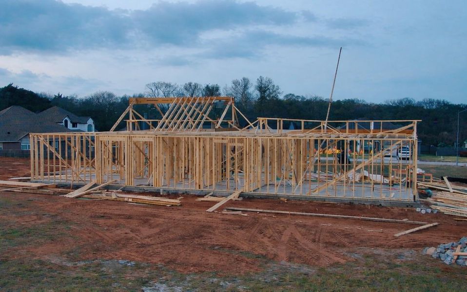 Partial Frame at Dusk