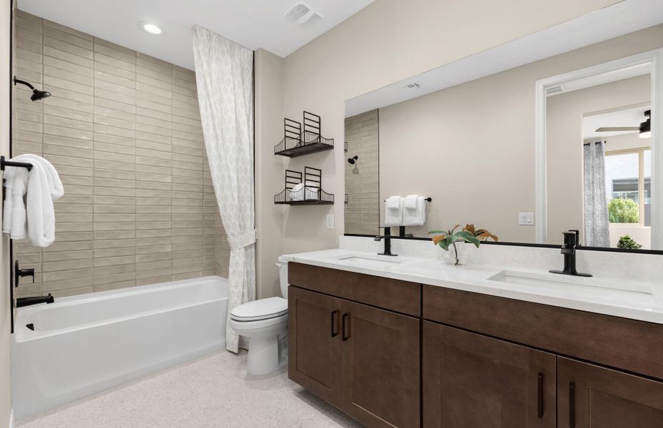 Brand New Homes in San Tan Valley Brand New Homes in San Tan Valley