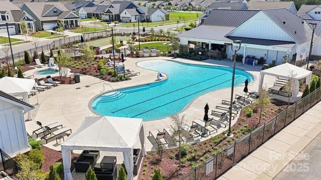 Community Photo Community Photo