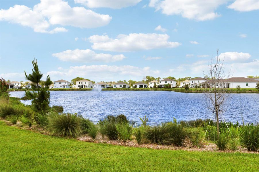 Lake View Lake View