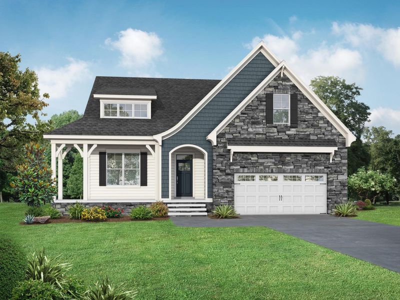 The Cypress D II The Cypress D II