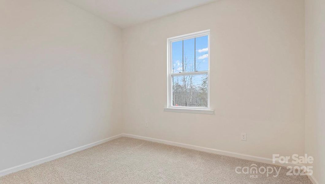 Photos are representative