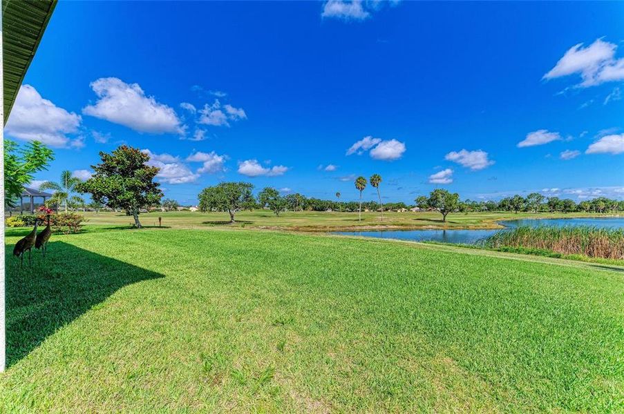 Natural landscape and outdoor views near in Palmetto (Image 57). Natural landscape and outdoor views near in Palmetto (Image 57).