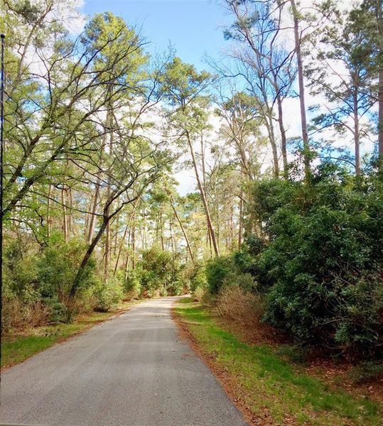 Natural landscape and outdoor views near Grand Central Park in Conroe (Image 29).