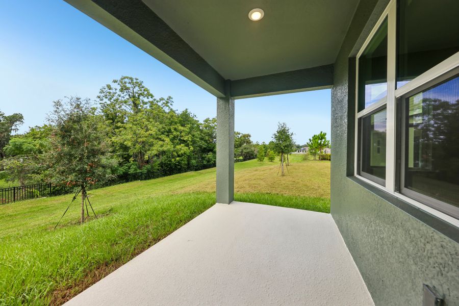 Spacious Backyards