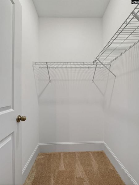 Spacious, unfurnished interior of a new home in Collins Cove, Chapin (Image 31).