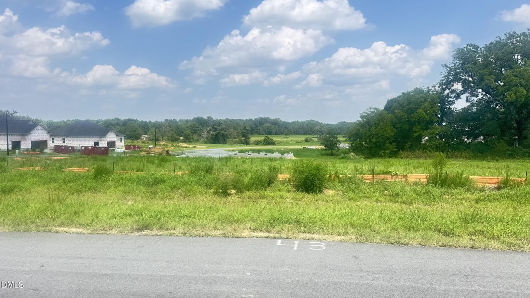 Natural landscape and outdoor views near Kelly Farms in Lillington (Image 27). Natural landscape and outdoor views near Kelly Farms in Lillington (Image 27).