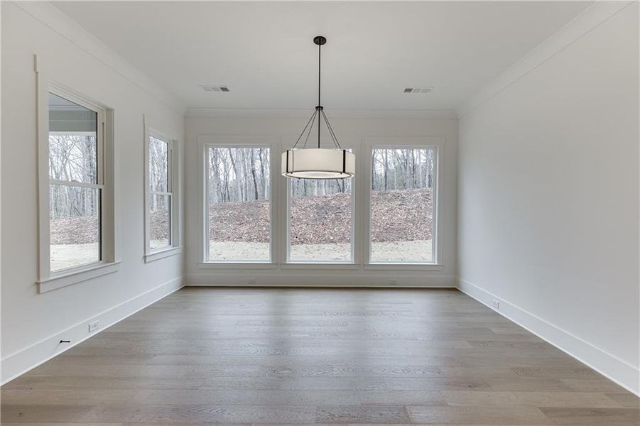 Spacious, unfurnished interior of a new home in , Pendergrass (Image 44).