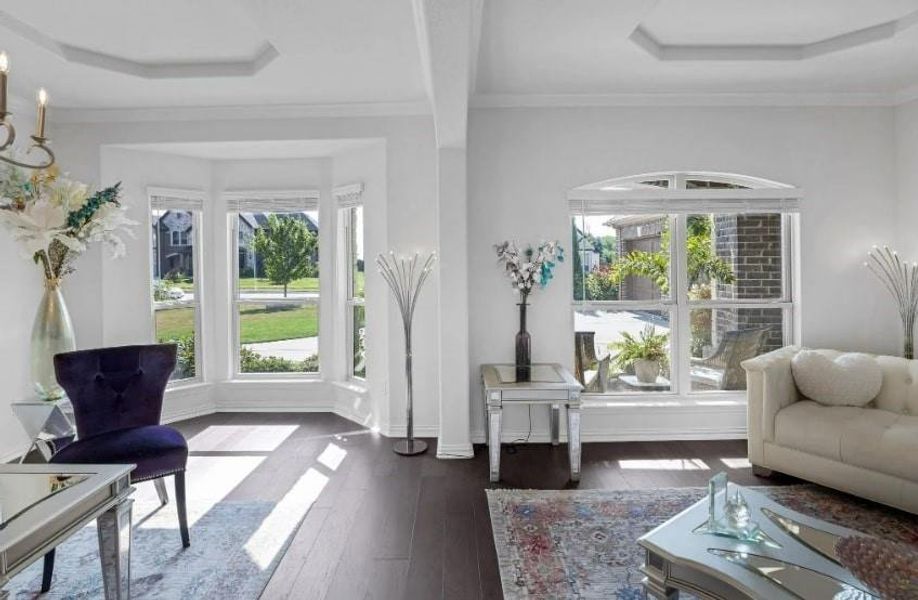 Living area featuring ornamental molding, dark wood-type flooring, and a raised ceiling