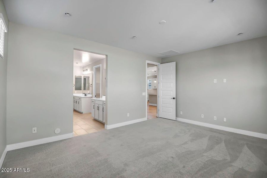 Mesquite Lot 213 (17)