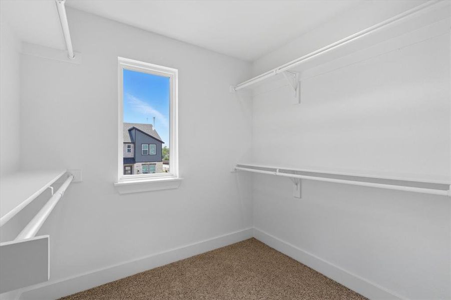 Walk in closet with carpet flooring