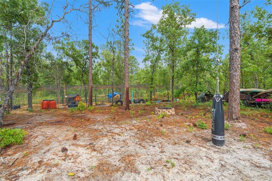Natural landscape and outdoor views near Royal Highlands in Brooksville (Image 40).