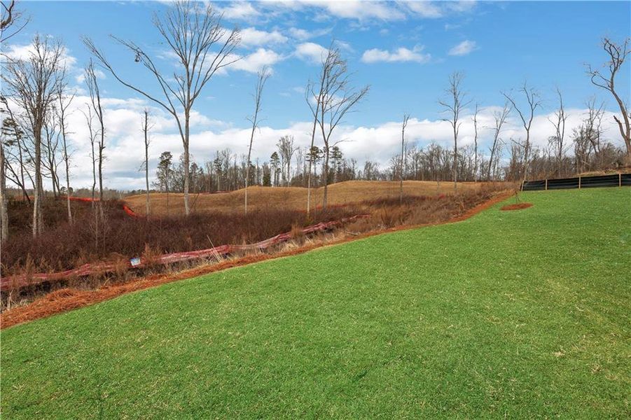 Natural landscape and outdoor views near Acacia in Cumming (Image 56). Natural landscape and outdoor views near Acacia in Cumming (Image 56).
