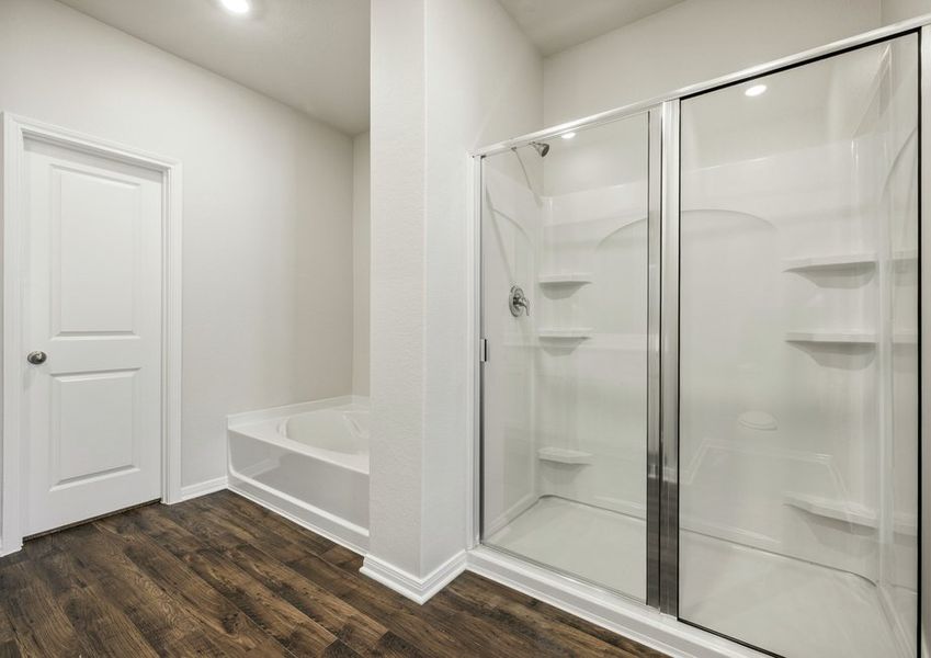 Step-in shower and seperate tub in the master bathroom