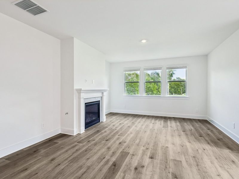 Spacious, unfurnished interior of a new home in Station Hill - Estate Series, Franklin (Image 9).