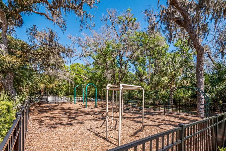 Community amenities in Creeks Edge at Twin Rivers, Parrish (Image 46).