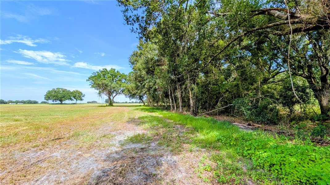 Natural landscape and outdoor views near  in Wauchula (Image 50).