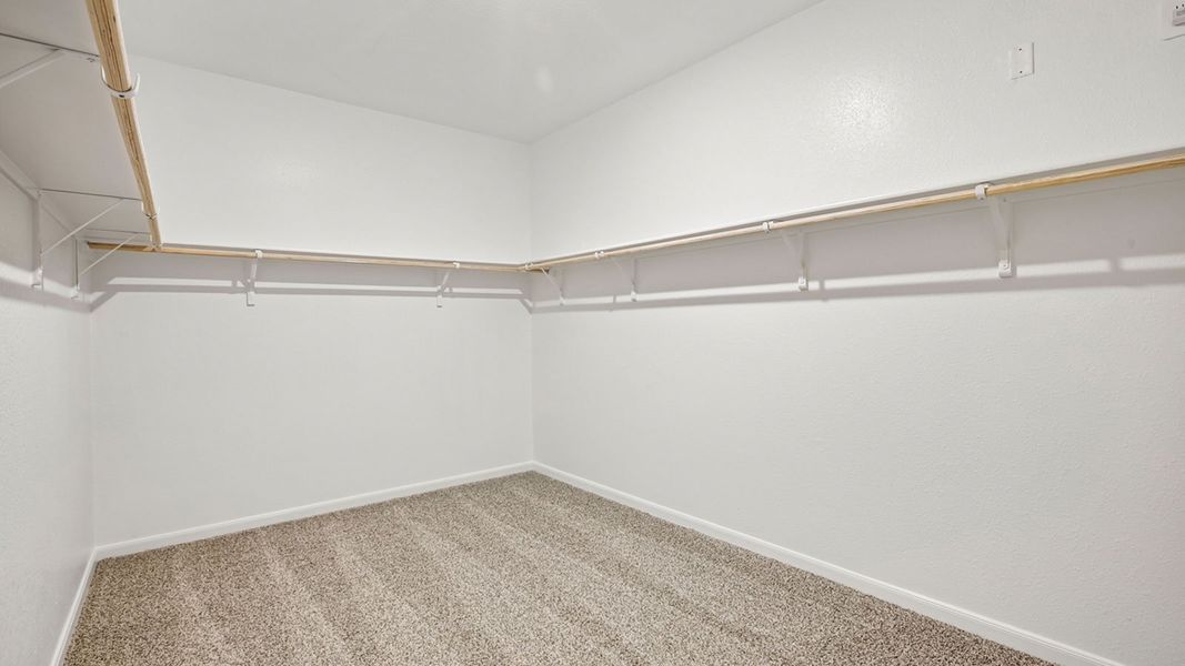 Spacious, unfurnished interior of a new home in Briarwood, Elgin (Image 26).