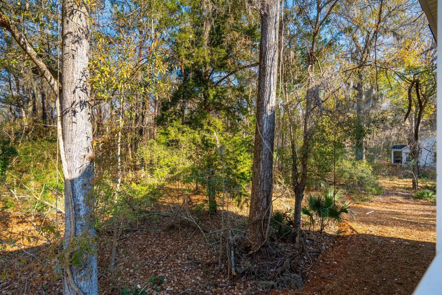 Natural landscape and outdoor views near Waterloo Estates in Johns Island (Image 81).
