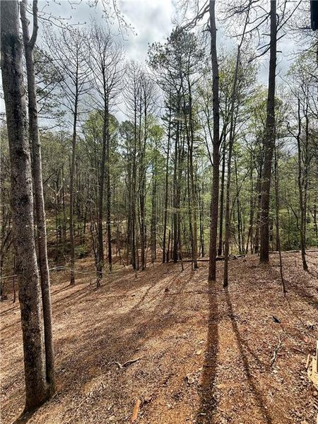 Natural landscape and outdoor views near  in Ellijay (Image 42).