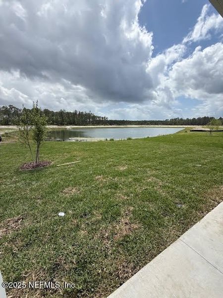 Natural landscape and outdoor views near Brook Forest in St. Augustine (Image 13). Natural landscape and outdoor views near Brook Forest in St. Augustine (Image 13).