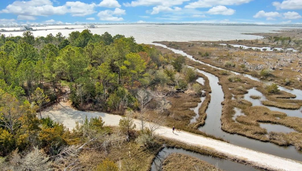 Natural landscape and outdoor views near The Preserve at Tidewater in Sneads Ferry (Image 39).
