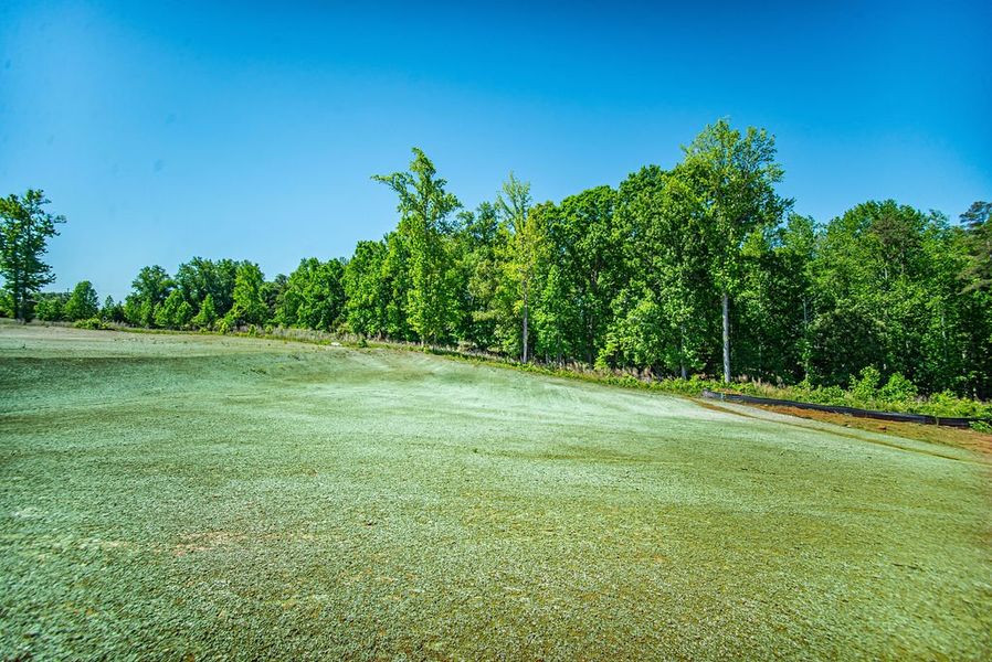 Outdoor and nature views near homes built from the Jackson by Enchanted Homes in Lonesome Dove, San Antonio (Image 54).
