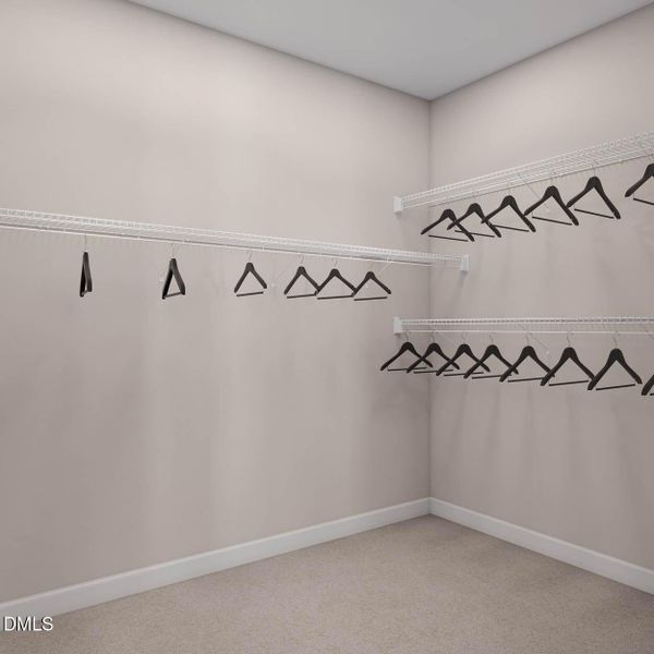 Twinleaf_Nola_Primary WIC_webready