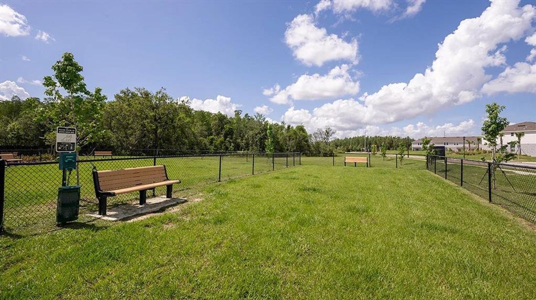 Community amenities in Firethorn, Parrish (Image 26).