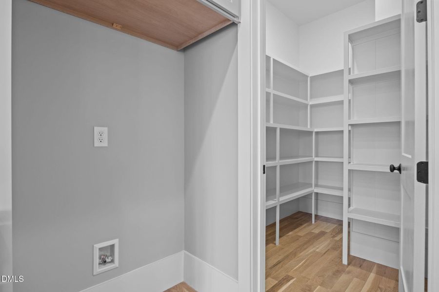 42-web-or-mls-IMG_6870