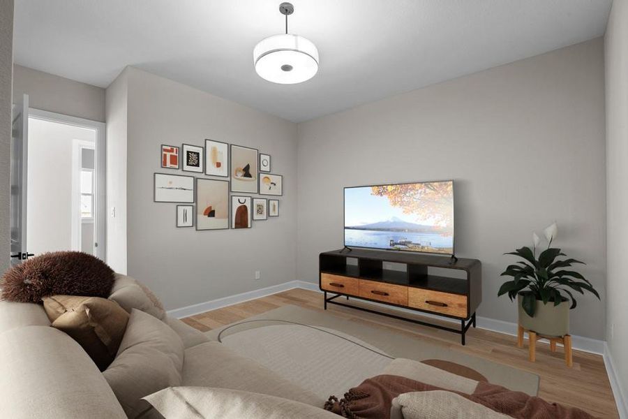 REPRESENTATIVE PHOTO: Another view / layout for TV room