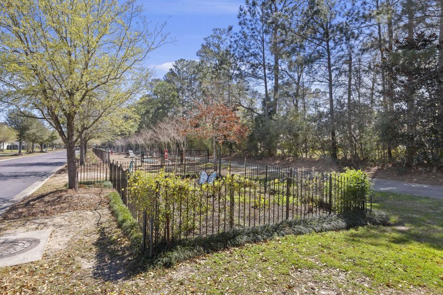 Natural landscape and outdoor views near  in Summerville (Image 59).
