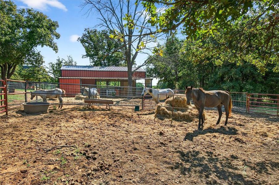 Horse barn featuring a rural view Horse barn featuring a rural view