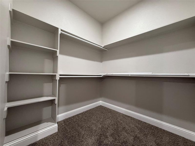 Spacious closet featuring dark carpet