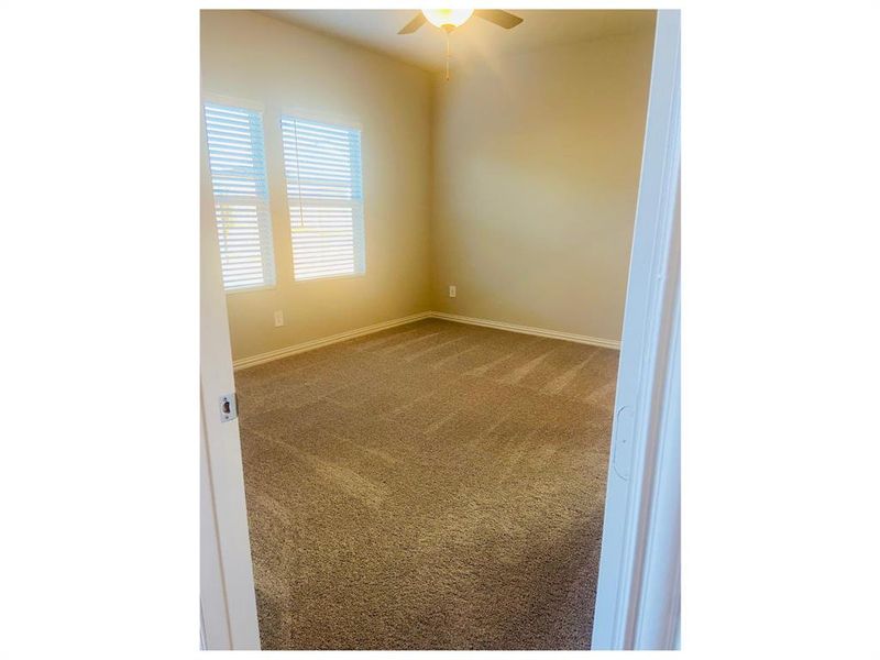 Unfurnished Primary room featuring carpet and ceiling fan