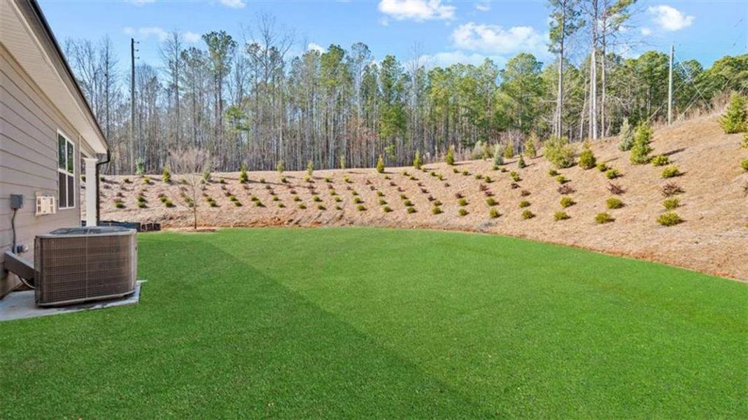 Exterior details and patio area of a home in Poplar Preserve, Newnan (Image 3).