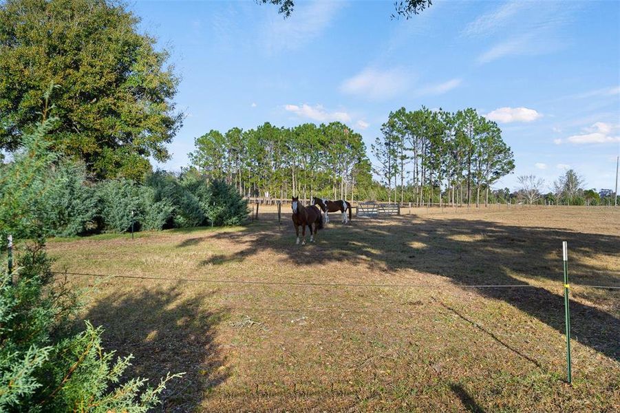 Natural landscape and outdoor views near in Alachua (Image 51). Natural landscape and outdoor views near in Alachua (Image 51).